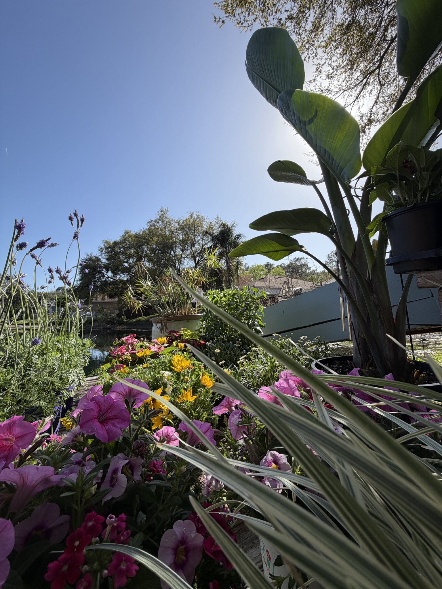 Full landscape transformation